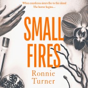 Cover-Bild zum Titel 'Small Fires' von 'Ronnie Turner'