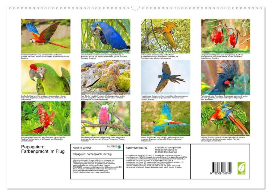 InsideView 4