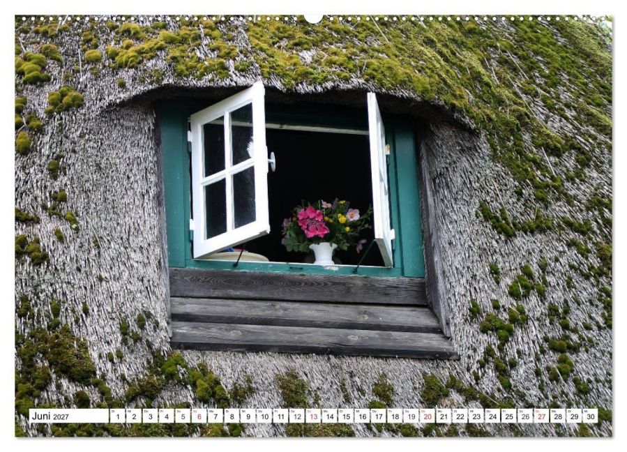 InsideView 11