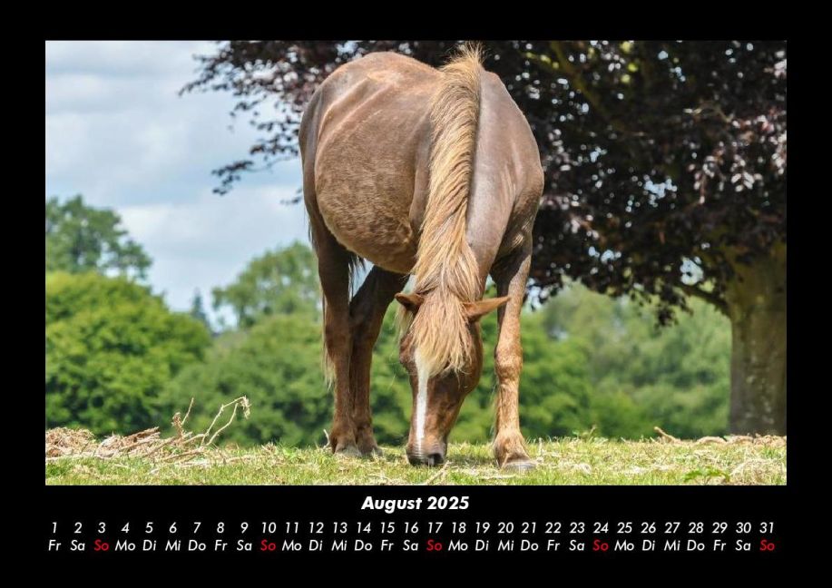 InsideView 12