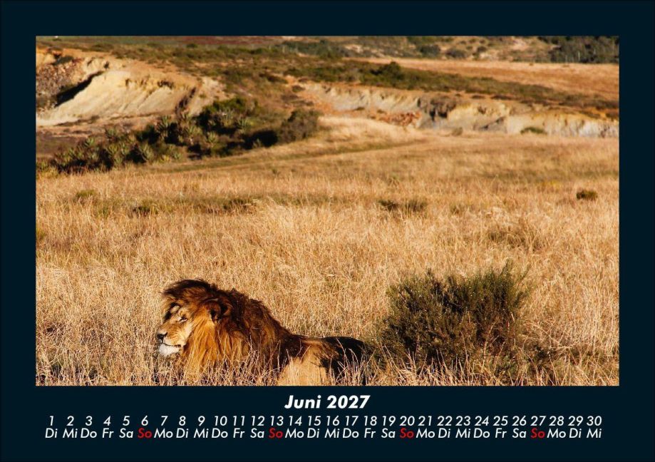 InsideView 10