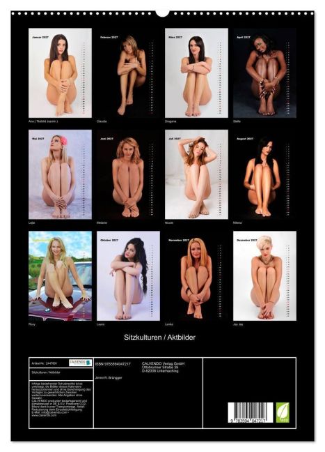 InsideView 4