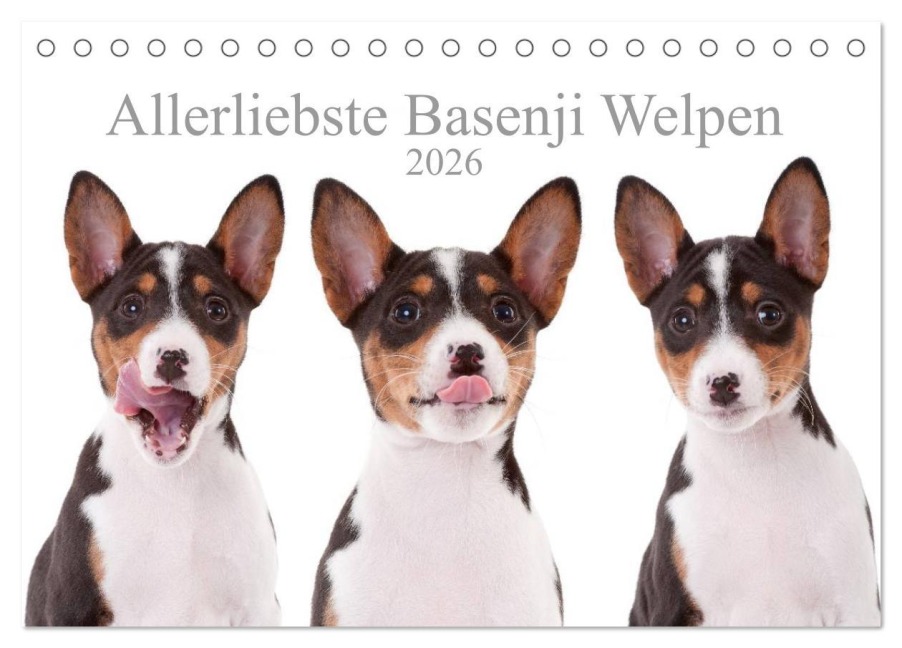 Allerliebste Basenji Welpen 2026 (Tischkalender 2026 DIN A5 quer), CALVENDO Monatskalender - Angelika Joswig