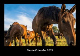 Cover-Bild zum Titel 'Pferde Kalender 2027 Fotokalender DIN A3' von 'Tobias Becker'