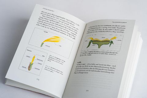 InsideView 4