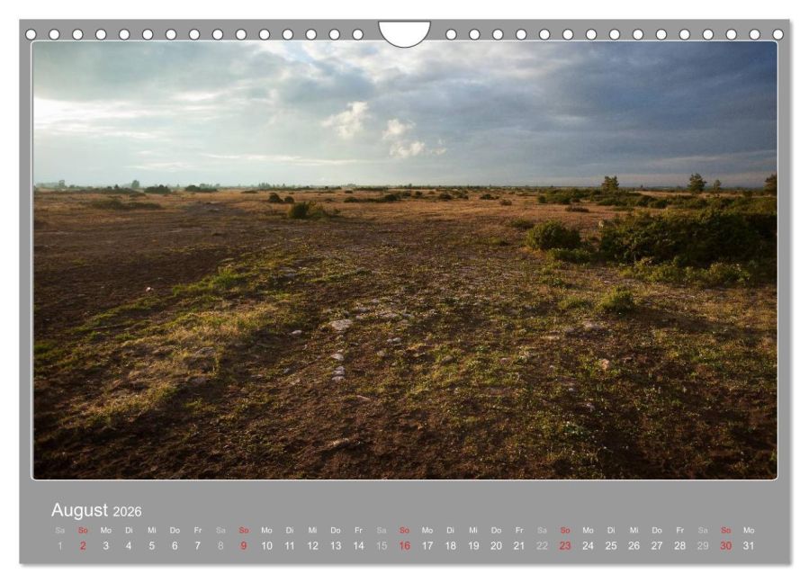InsideView 13