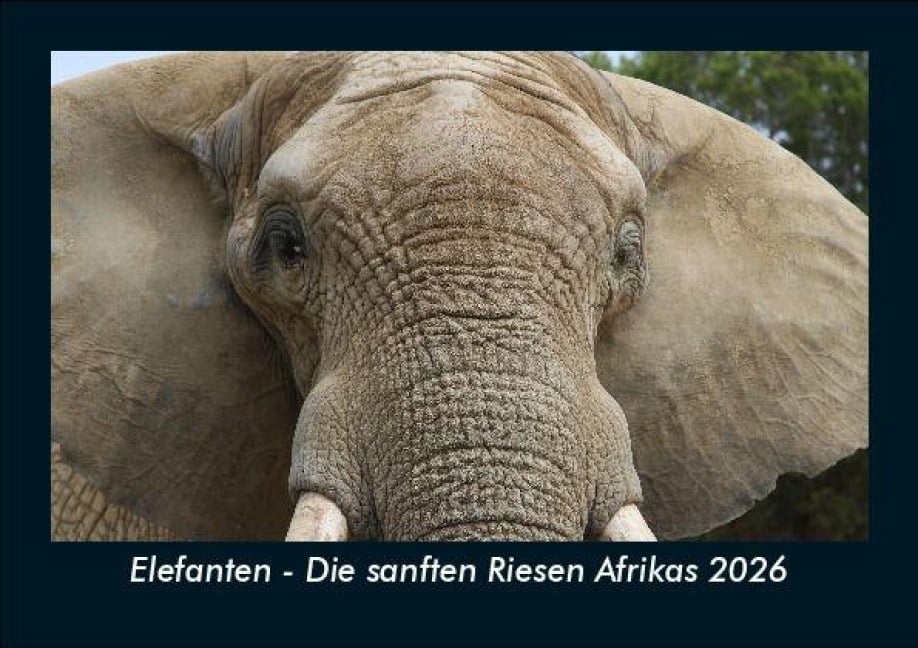 Elefanten - Die sanften Riesen Afrikas 2026 Fotokalender DIN A5 - Tobias Becker