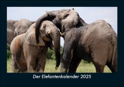 Cover-Bild zum Titel 'Der Elefantenkalender 2025 Fotokalender DIN A5' von 'Tobias Becker'