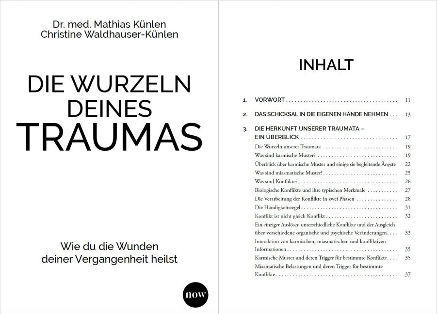 InsideView 1