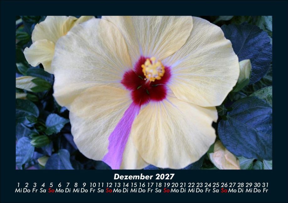 InsideView 4