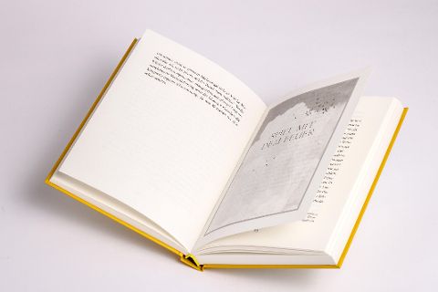 InsideView 2