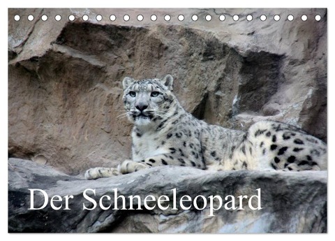 Der Schneeleopard (Tischkalender 2024 DIN A5 quer), CALVENDO Monatskalender - Arno Klatt