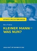 Cover-Bild zum Titel 'Kleiner Mann - was nun?' von 'Hans Fallada'