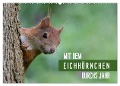 Mit dem Eichhörnchen durchs Jahr (Wandkalender 2025 DIN A2 quer), CALVENDO Monatskalender - Margret Brackhan