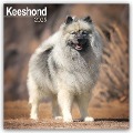 Keeshond - Wolfsspitz 2025 - 16-Monatskalender - Avonside Publishing Ltd