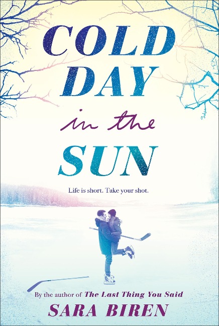 Cold Day in the Sun - Sara Biren