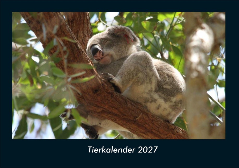 Tierkalender 2027 Fotokalender DIN A4 - Tobias Schmitt, Kevin Heber