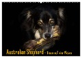 Australian Shepherd - Traum auf vier Pfoten (Wandkalender 2025 DIN A2 quer), CALVENDO Monatskalender - Andrea Mayer Tierfotografie