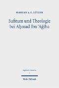 Cover-Bild zum Titel 'Sufitum und Theologie bei A?mad Ibn ?A??ba' von 'Florian A. G. Lützen'
