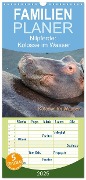 Familienplaner 2025 - Nilpferde, Kolosse im Wasser mit 5 Spalten (Wandkalender, 21 x 45 cm) CALVENDO - Robert und Andrea Styppa