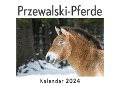 Cover-Bild zum Titel 'Przewalski-Pferde (Wandkalender 2024, Kalender DIN A4 quer, Monatskalender im Querformat mit Kalendarium, Das perfekte Geschenk)' von 'Anna Müller'