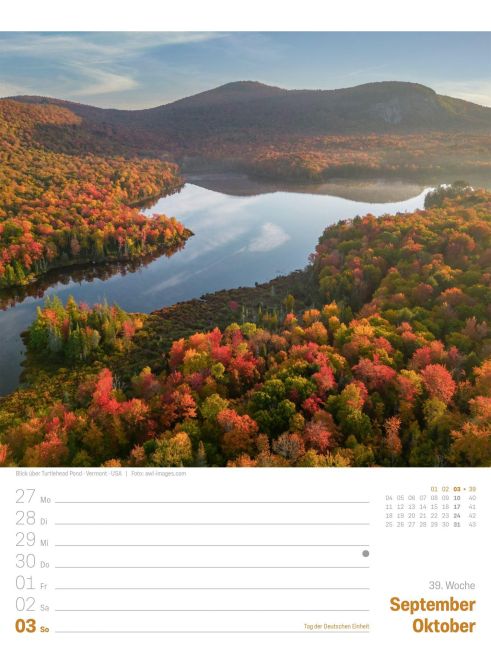 InsideView 43