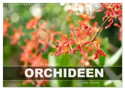 Cover-Bild zum Titel 'Orchidaceae - Orchideen (Wandkalender 2026 DIN A3 quer), CALVENDO Monatskalender' von 'Peter Schickert'