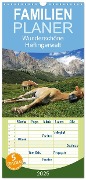 Familienplaner 2025 - Wunderschöne Haflingerwelt mit 5 Spalten (Wandkalender, 21 x 45 cm) CALVENDO - Michael Rucker