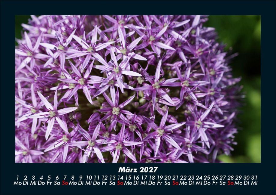 InsideView 7