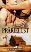 Cover-Bild zum Titel 'PrärieLust | Erotische Geschichten' von 'Amy Walker'
