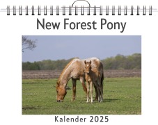 Cover-Bild zum Titel 'New Forest Pony' von 'Elias Klein'