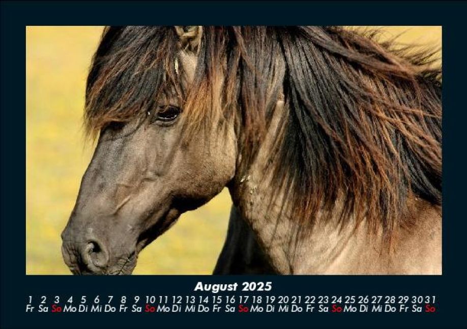 InsideView 12