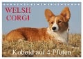 Welsh Corgi - Kobold auf 4 Pfoten (Tischkalender 2024 DIN A5 quer), CALVENDO Monatskalender - Sigrid Starick