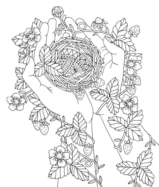 InsideView 5