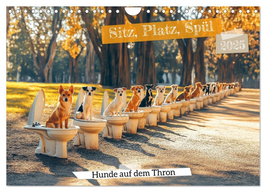 Sitz, Platz, Spül - Hunde auf dem Thron (Wandkalender 2025 DIN A4 quer), CALVENDO Monatskalender - Mb Fotografie