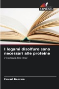 Cover-Bild zum Titel 'I legami disolfuro sono necessari alle proteine' von 'Eswari Beeram'