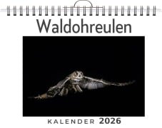Cover-Bild zum Titel 'Waldohreulen' von 'Oliver Schäfer'