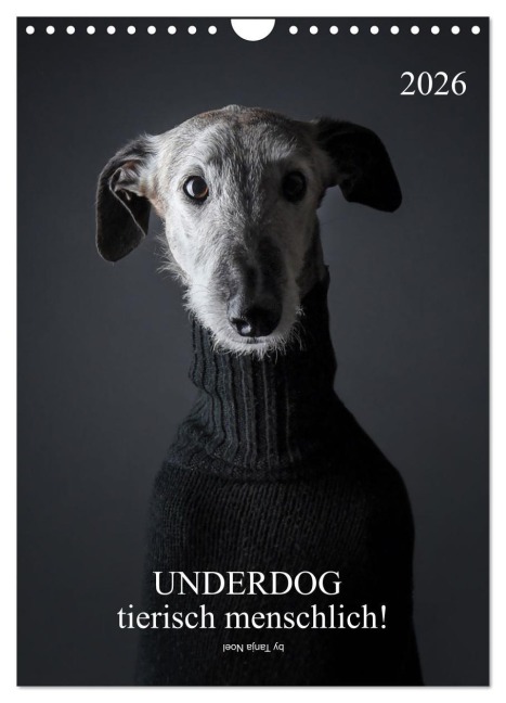 UNDERDOG - Windhundportraits (Wandkalender 2026 DIN A4 hoch), CALVENDO Monatskalender - Tanja Noel