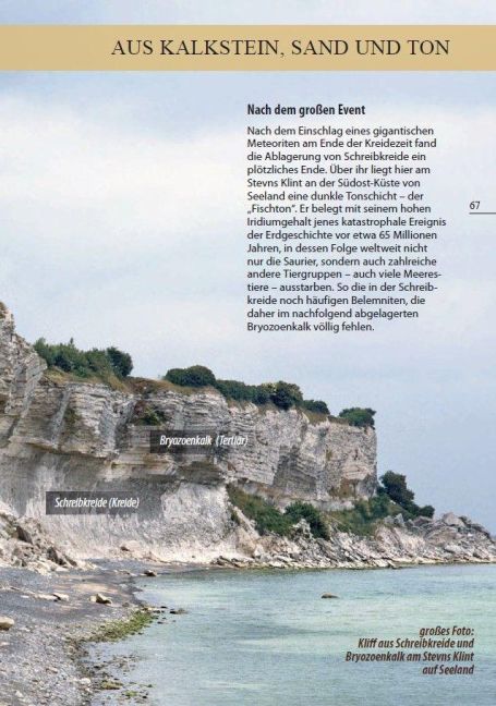InsideView 5