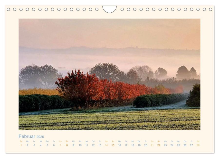 InsideView 7
