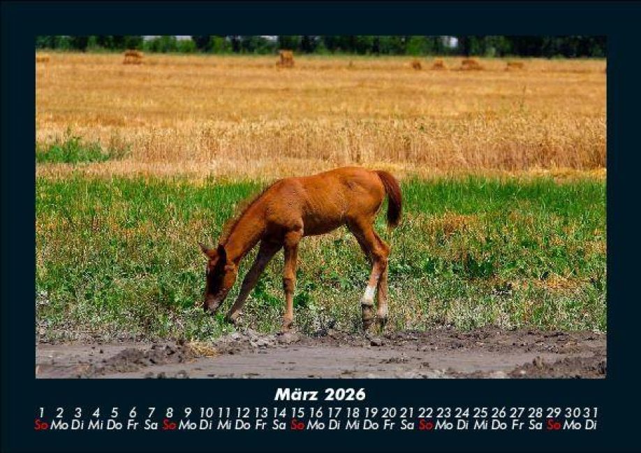 InsideView 7