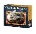 What Cats Teach Us 2023 Box Calendar - Willow Creek Press