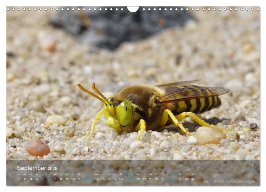 InsideView 14