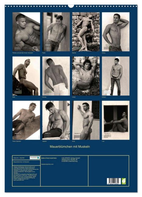 InsideView 5