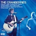 Cover-Bild zum Titel 'Icon' von 'The Cranberries'