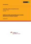 Cover-Bild zum Titel 'Politische Inhalte und Beeinflussung in sozialen Netzwerken am Beispiel Facebook' von 'Conrad Borchers'