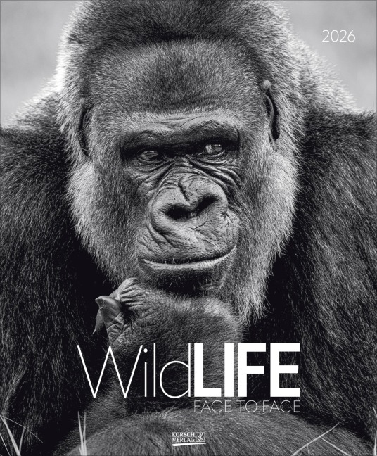 WildLife 2026 - 