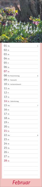 InsideView 2