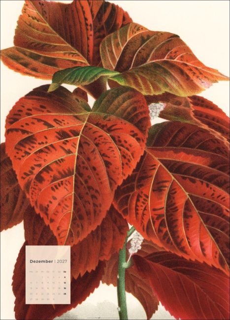 InsideView 12