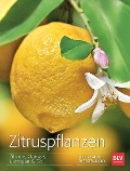 Cover-Bild zum Titel 'Zitruspflanzen' von 'Monika Klock, Peter Klock'